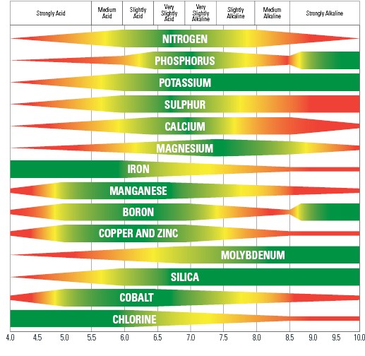 Nutrient-Availability-Scale.jpg