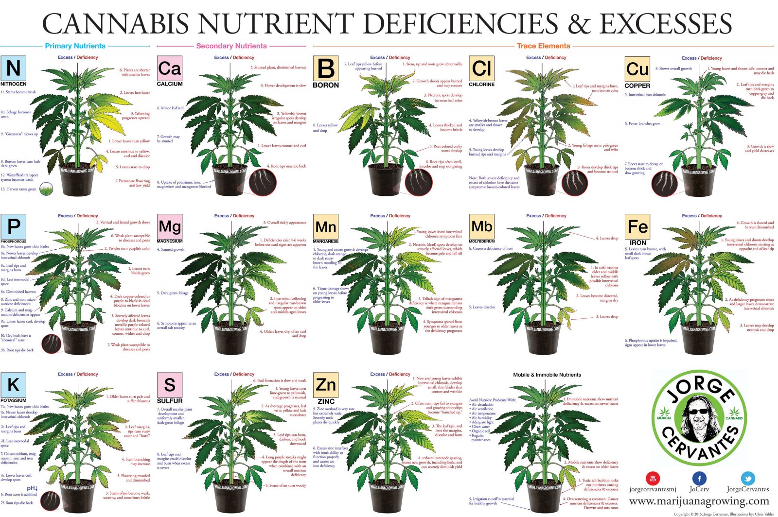nutrient chart.jpg