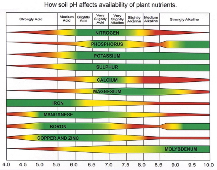 ph-nutrient-chart.jpg