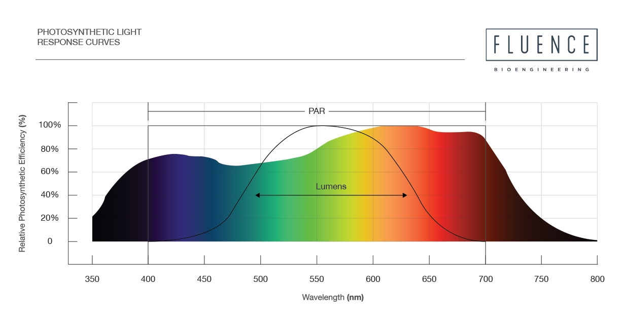 Photosynthetic-light-response-curves-1.jpg