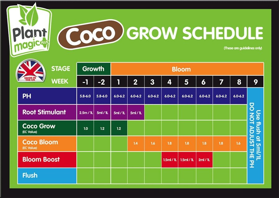 plant-magic-coco-schedule.jpg