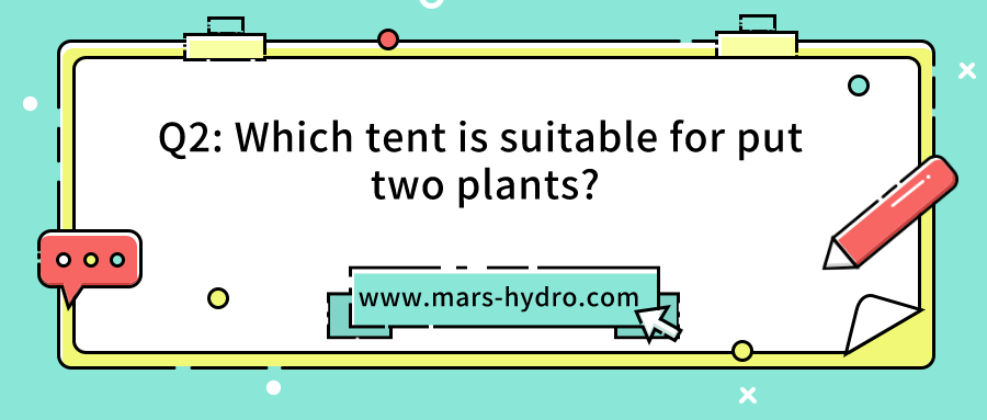 Q2 Which tent is suitable for put two plants.png