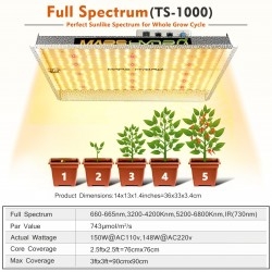 rage_full_spectrum_grow_lamp_for_indoor_plants-8_4.jpg