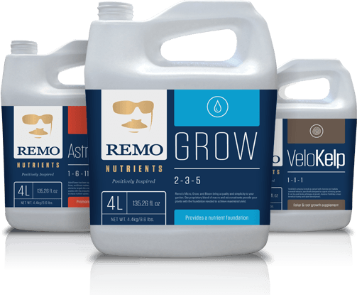 remo-product.rev2_.png