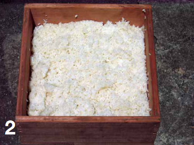 rice_box_microbes.png