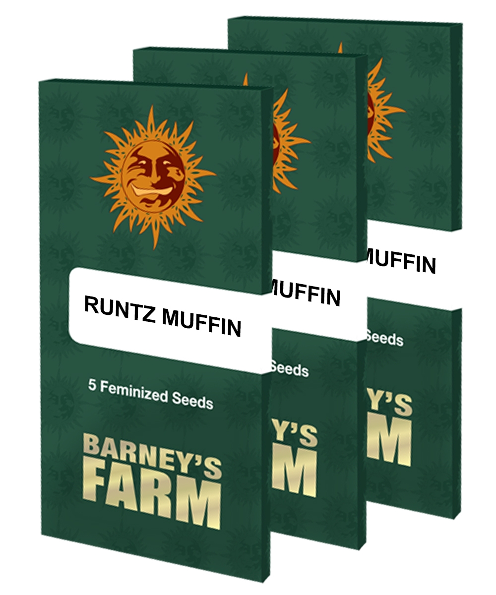 runtz-muffin_packet_large_seeds.jpg