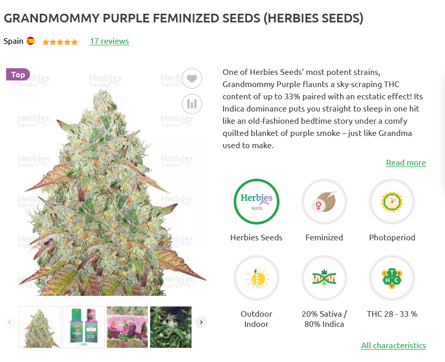Screenshot 2024-02-06 at 17-16-56 Grandmommy Purple fem seeds for sale strain information and ...png