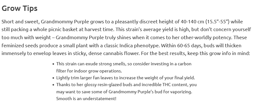 Screenshot 2024-02-06 at 20-25-19 Grandmommy Purple fem seeds for sale strain information and ...png