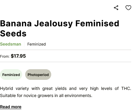 Screenshot 2024-02-28 at 05-01-35 Banana Jealousy Feminised Seeds Seedsman since 2002.png