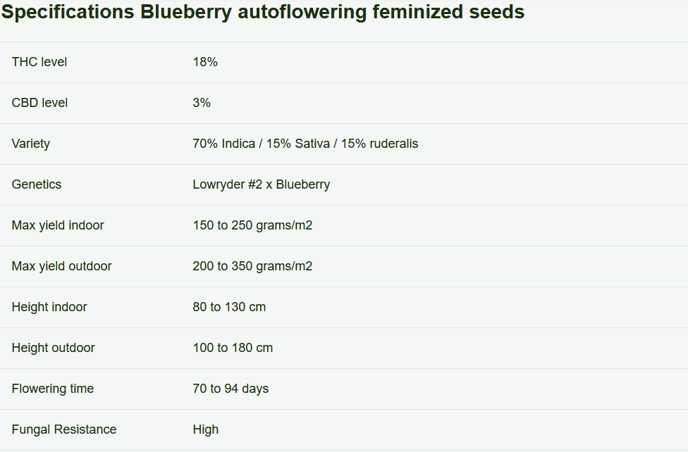 Screenshot_2020-11-22 Blueberry autoflower seeds (feminized) Weedseedsexpress(1).png