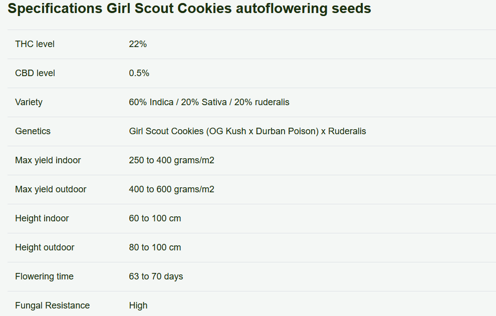Screenshot_2020-11-22 Girl Scout Cookies autoflower seeds Weedseedsexpress(2).png