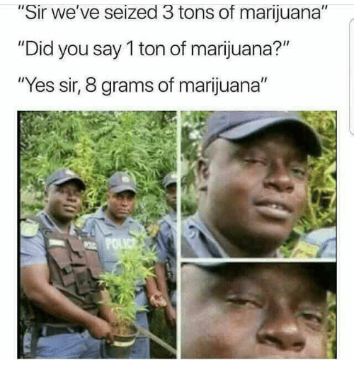 sir-weve-seized-3-tons-of-marijuana-did-you-say-29199320.png