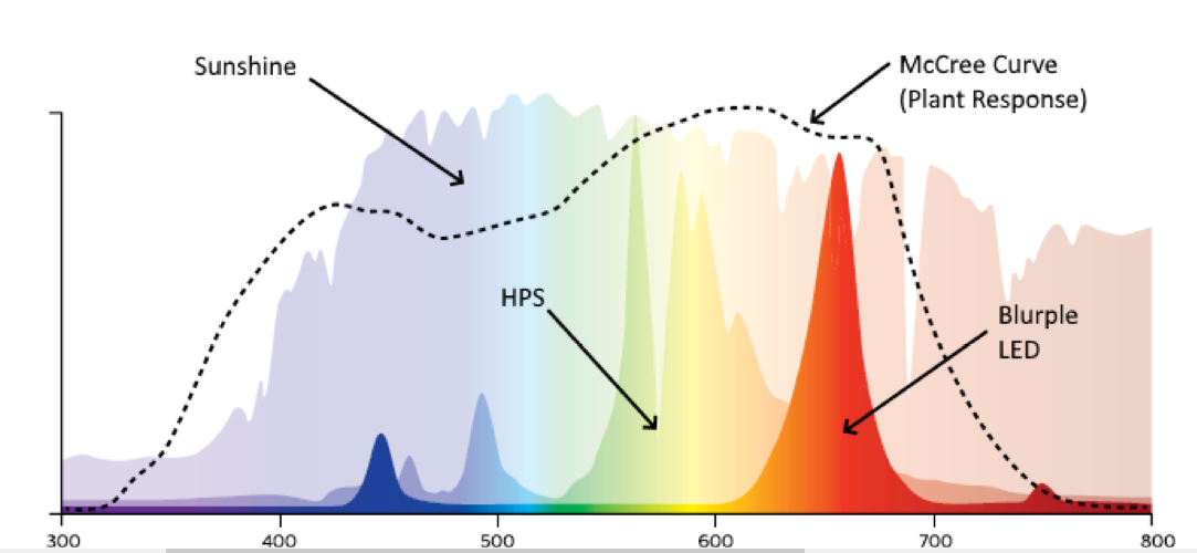Spectra of Various light Sources.PNG