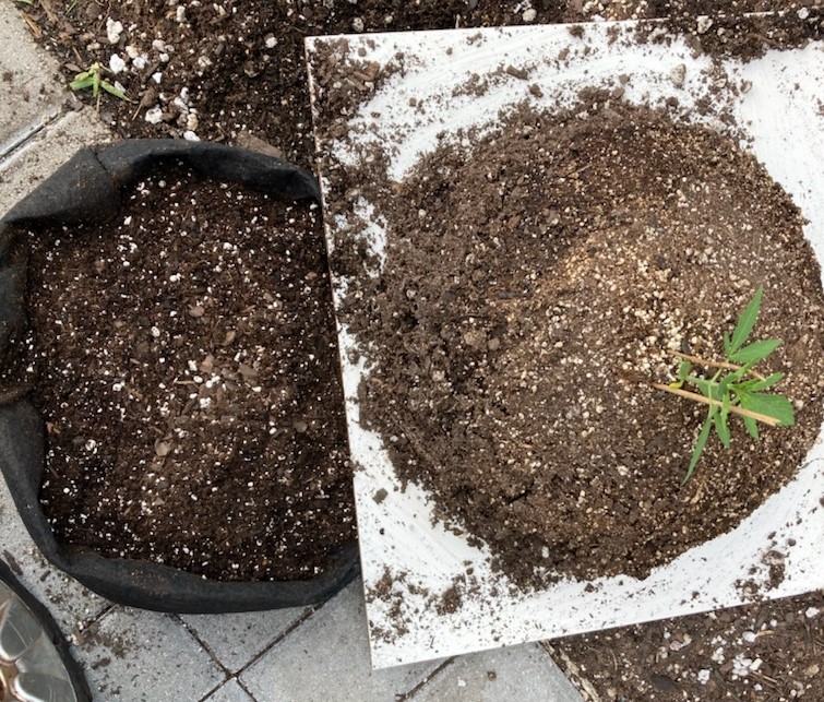 Step 3 position plant on tile with pot and soil so that it slides right over.jpg