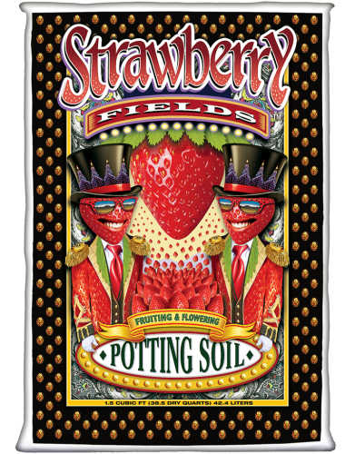 strawberryfields-1.5cf_2019-391x500.png