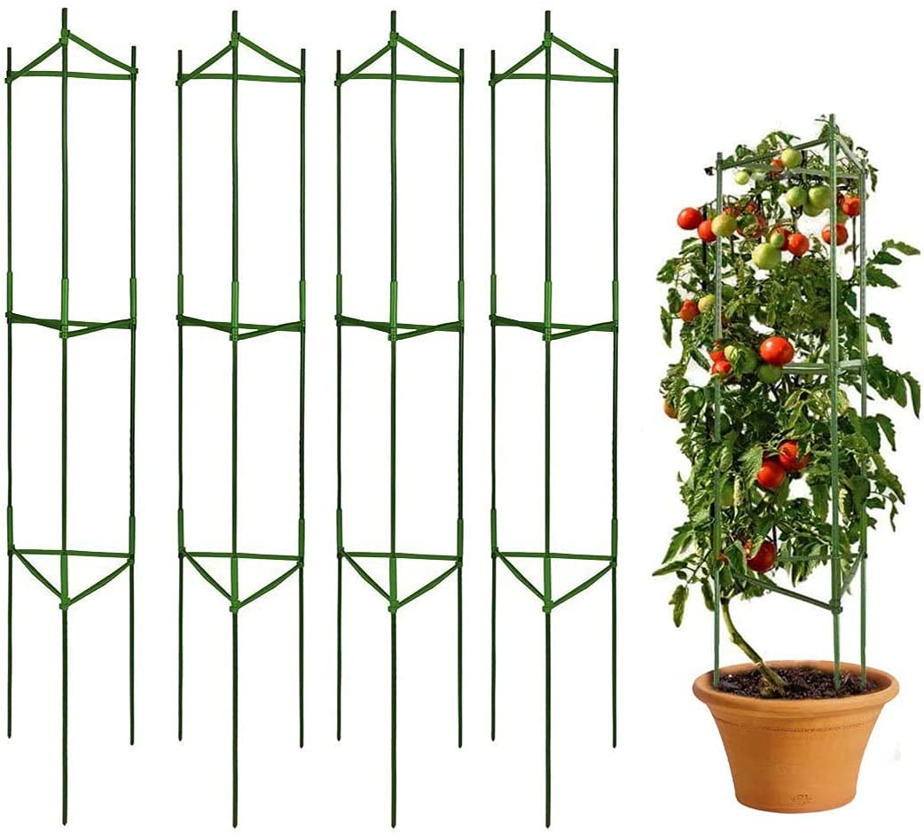 tomato cages.jpg