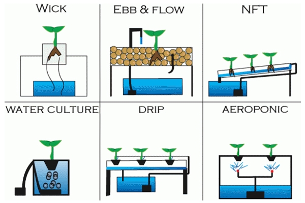 Types-of-Hydroponic-Systems.jpg