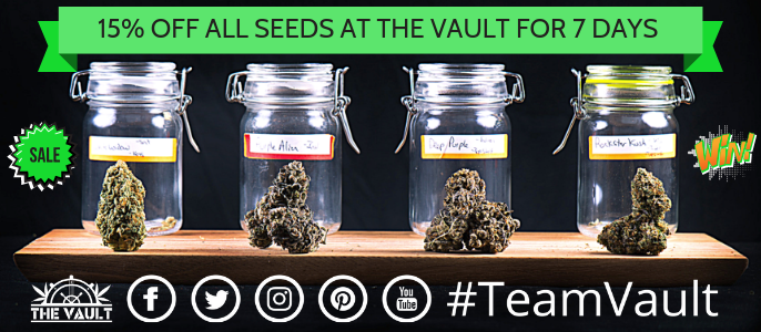 Vault-Cannabis-Seeds-Store-Promo.png