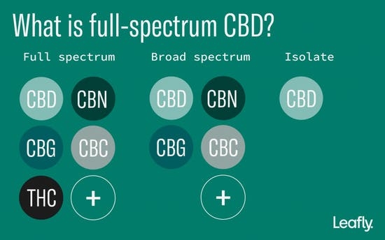 what-is-full-spectrum-cbd-explainer-4-1024x640.jpg