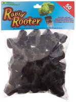 Rapid Rooters.jpg