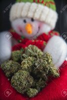 74997262-detail-of-snowman-with-green-cannabis-nugs-marijuana-christmas-background.jpg