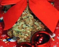 christmas-marijuana-meme-12-532x430.jpg