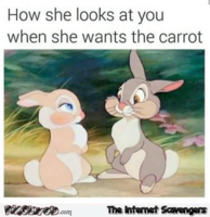 9-when-she-looks-at-you-and-wants-the-carrot-funny-adult-meme.png