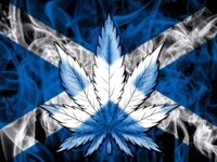 Cannabis-leaf-on-a-smoke-background-with-the-flag-of-Scotland-overlaying.jpg