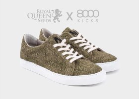 Handcrafted Weed Shoes? Royal Queen Seeds and 8000Kicks Create the Unthinkable