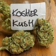 Kosher-Kush