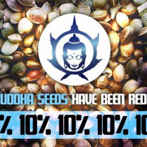 Buddha Seeds Offer