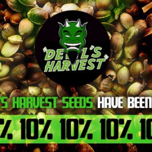 Devils Harvest Seed offer