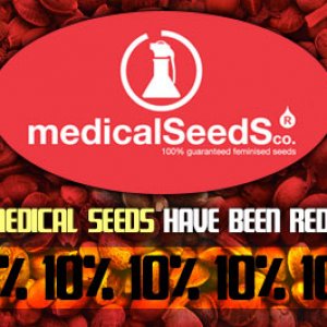 Medical Seeds Offer
