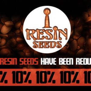 Resin Seeds Offer