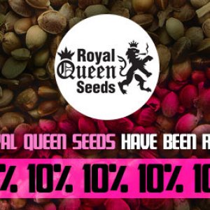 Royal Queen Seeds offer