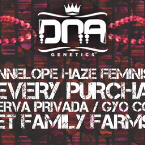 Offers at Herbies - DNA Genetics