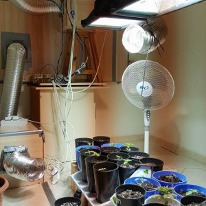 grow room