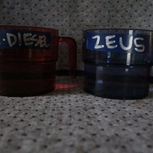 cups4