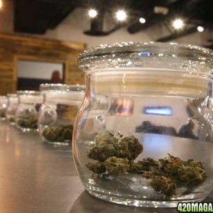 cannabis-jar