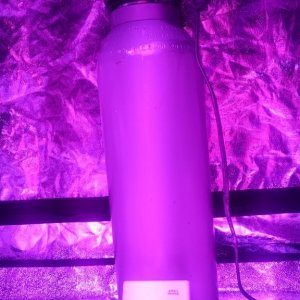 CO2 tank with diffuser and CO2 meter