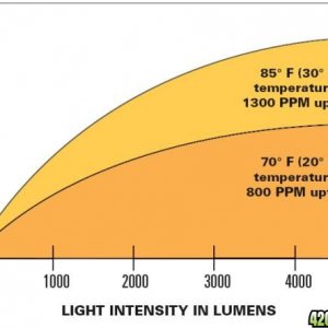 Light uptake vs. CO2