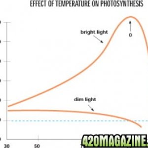 Light vs. temperatures