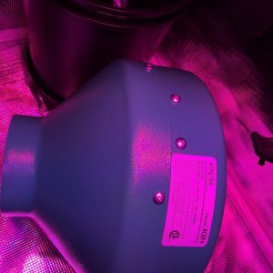 Inline Fan-Carbon Filter