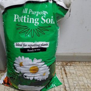 Basic potting soil