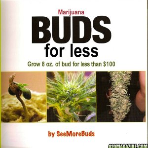Marijuana_BUDS_for_less_-SeeMoreBuds-------_HQ_Page_02