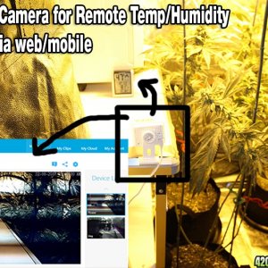 wireless cam monitor