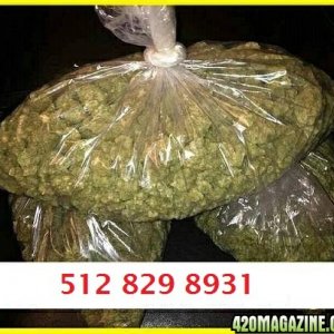 Buy pound medical marijuana