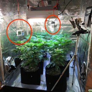 CO2 tent 6 plants