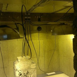 Grow room light wiring