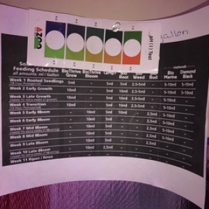 PPM colour chart and growing schedule